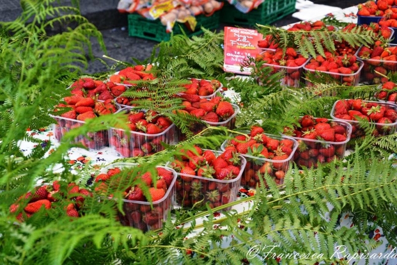 Fragola di Maletto