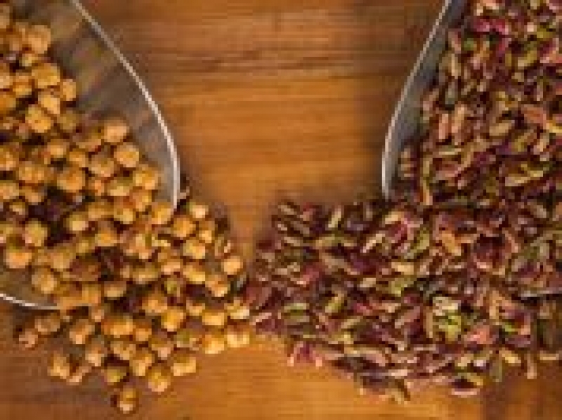Nocciola dei Nebrodi
