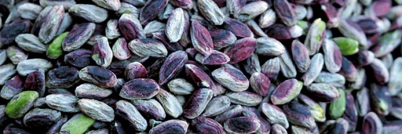 Pistacchio di Bronte
