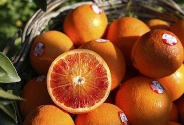 Arancia Rossa di Sicilia